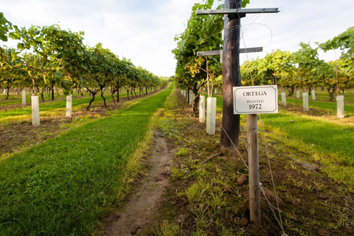 Biddenden Vineyards and Devon Distillery: