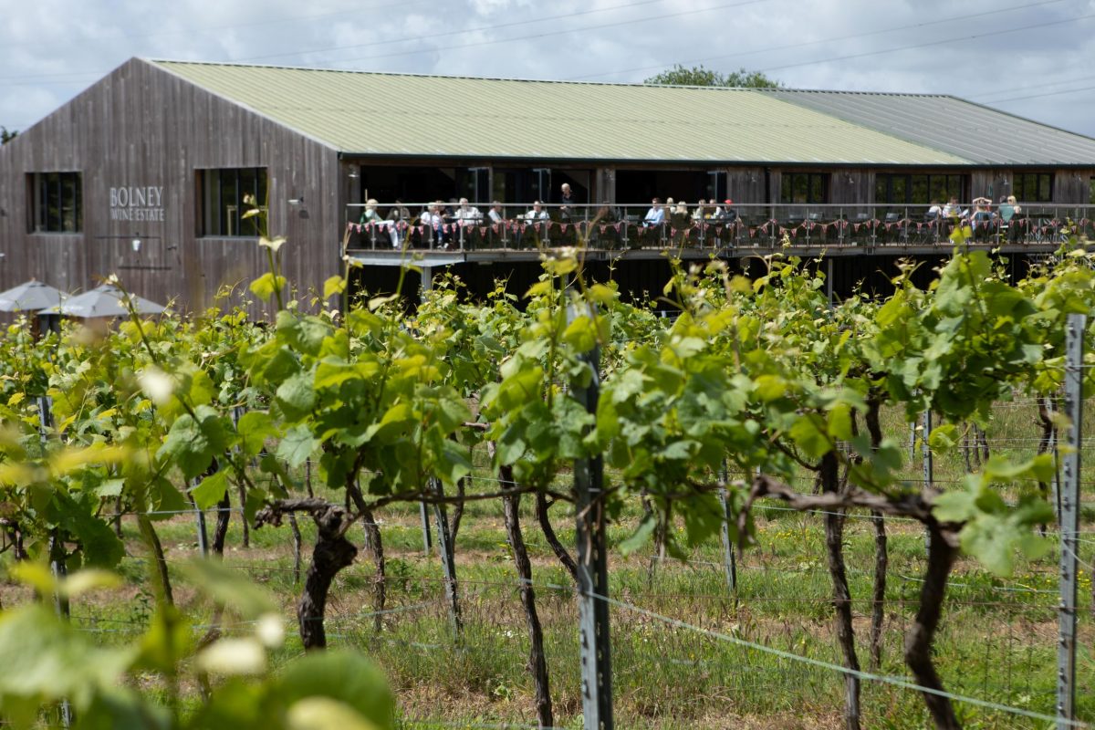 Bolney Wine Estate and  Devon Distillery