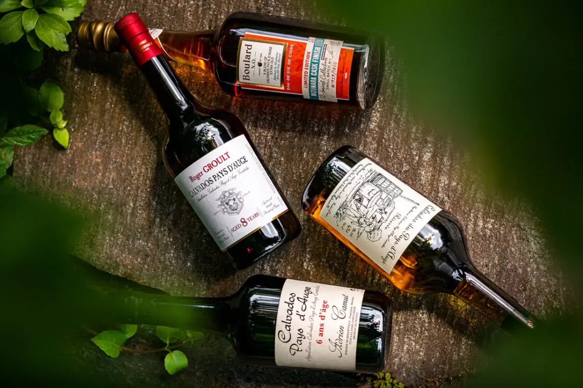 Calvados vs Grappa