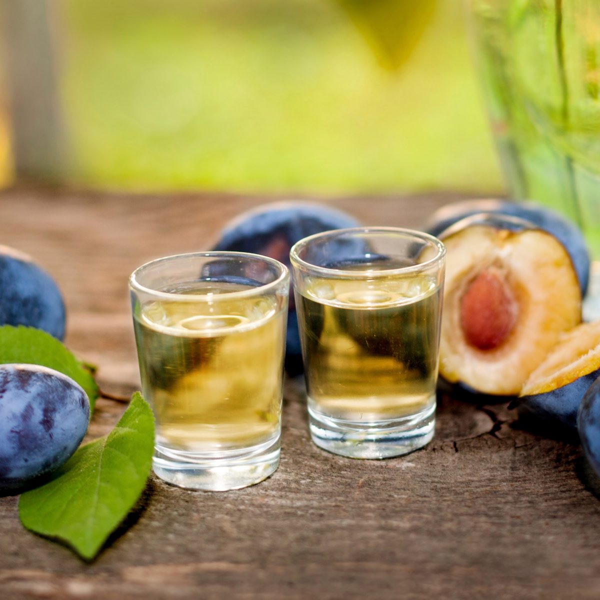 Slivovitz vs Grappa
