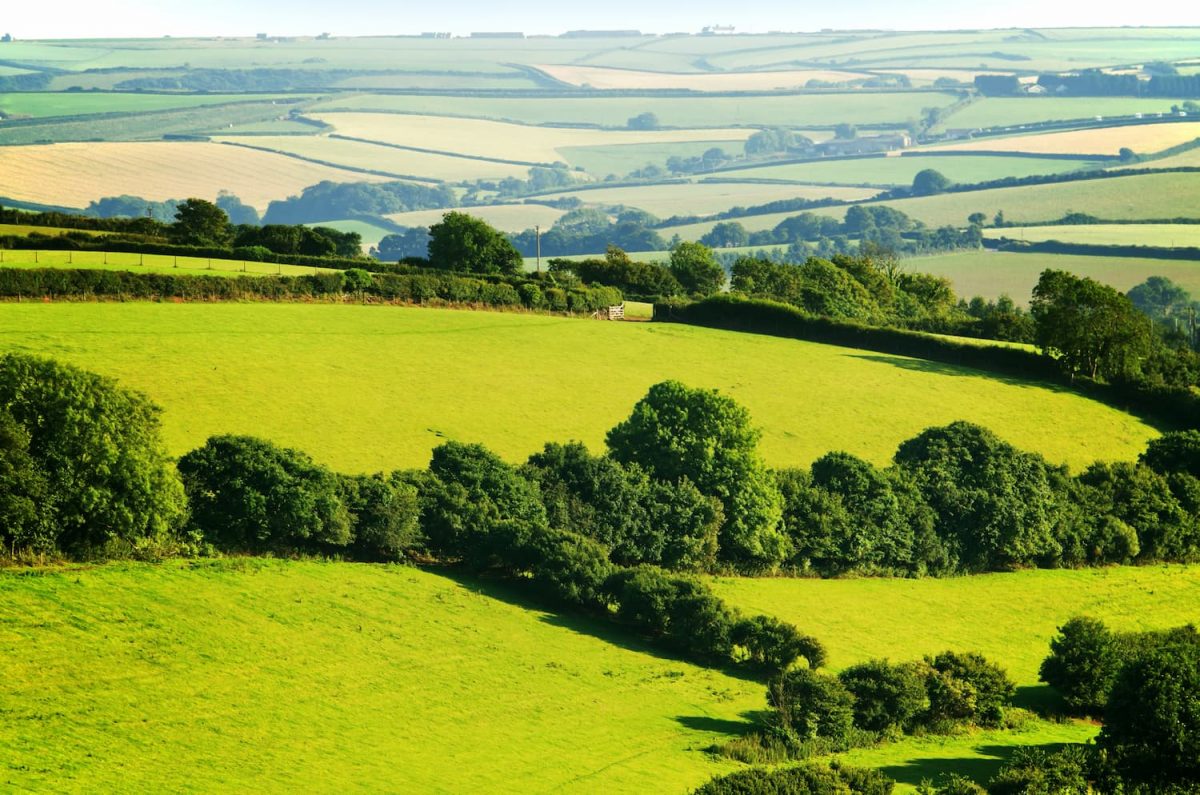 Contact Details Devon Distillery South West Spirits